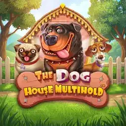 The Dog House Multihold game at BassWin Casino for United Kingdom players